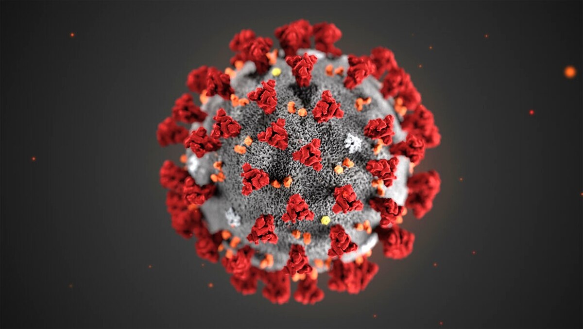 Déclaration du Groupe de la Banque Islamique de Développement sur le coronavirus