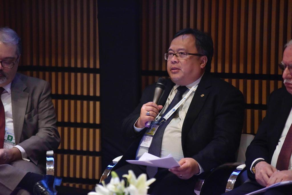 Indonesia's Minister for National Development thoughts on South South Cooperation Pertaining to IsDB Member Countries
