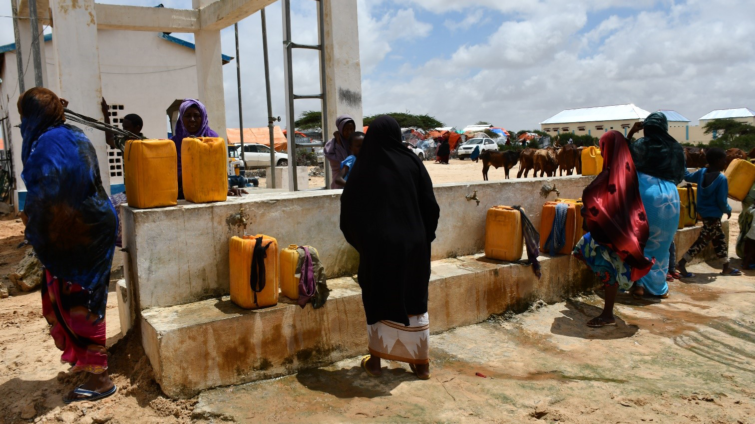 3. Deep Wells and Construction of Schools in Somalia