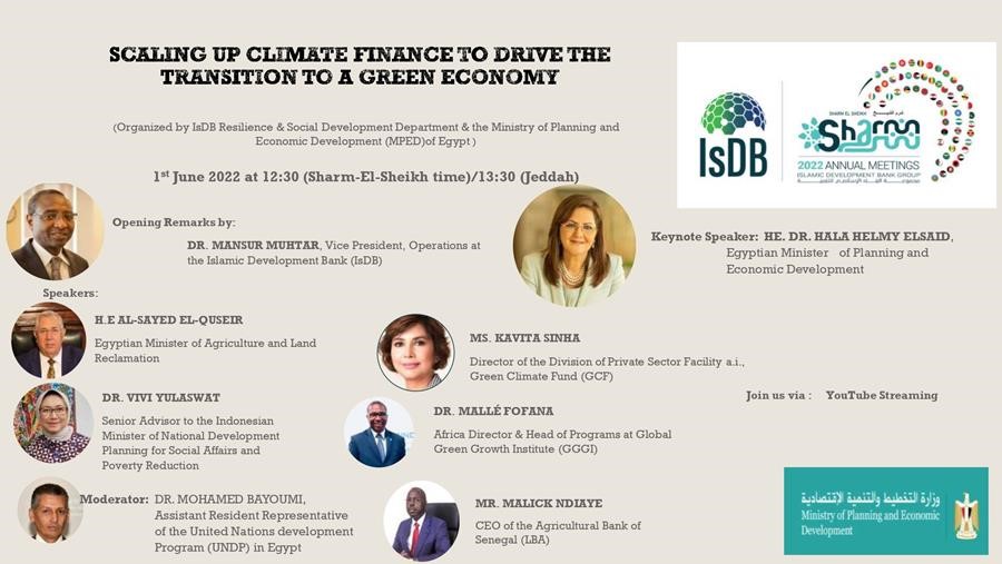 Scaling up Climate Finance to Drive Transition to a Green Economy