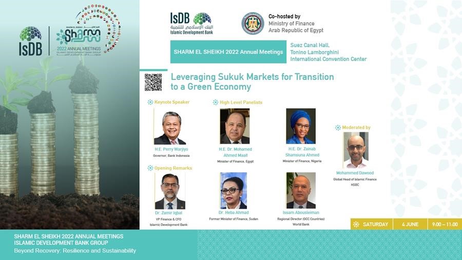 Leveraging Sukuk Markets for Transition to a Green Economy